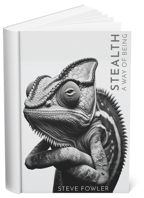 Stealth: A Way of Being book cover